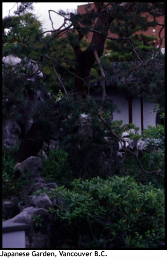 Japanese Garden, Chinatown, Vancouver B.C.